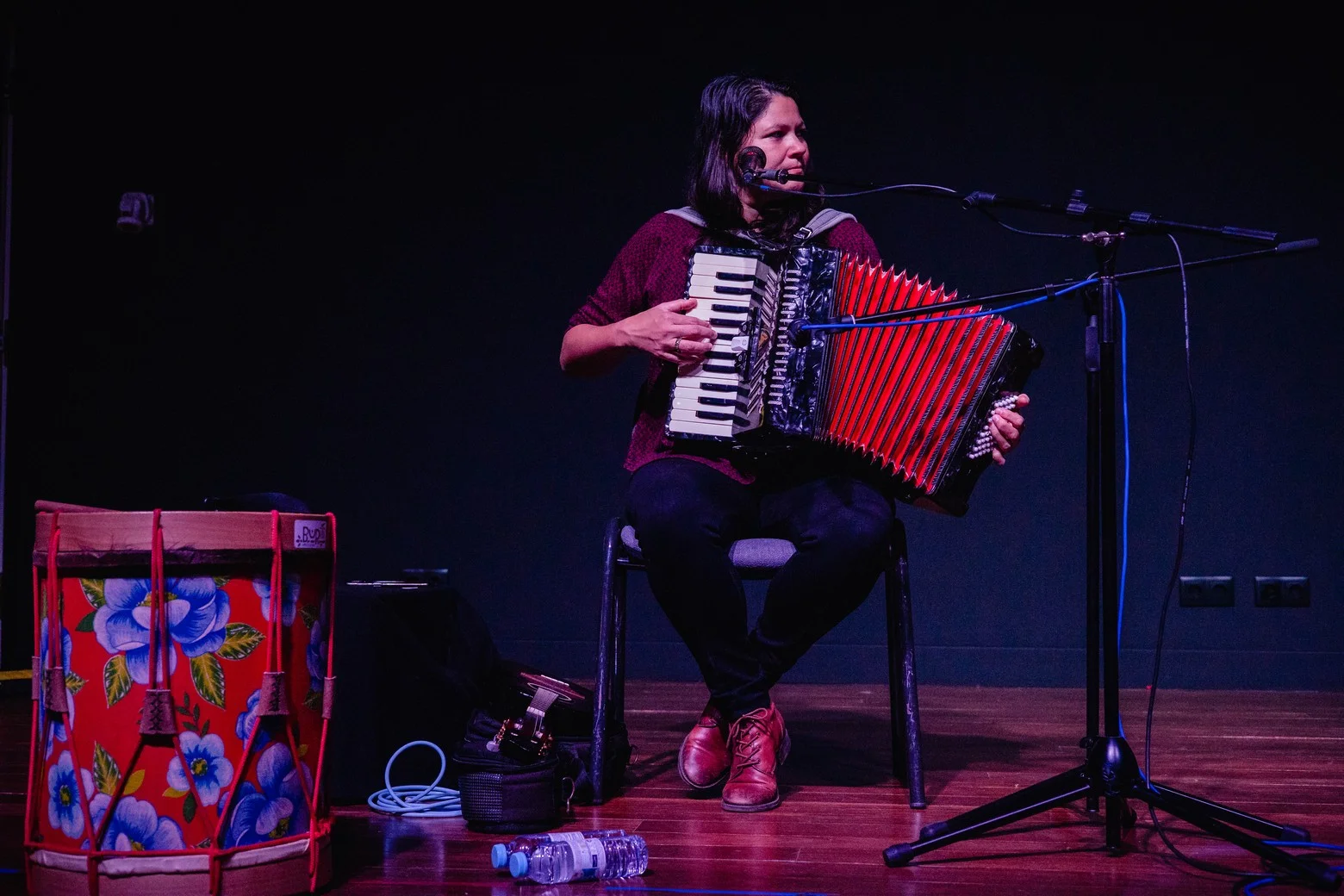 Luciana Costa - Músico - Brasil